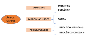 Clasificación simple de los ácidos grasos