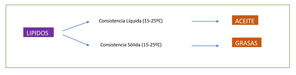 Clasificación Lípidos según consistencia