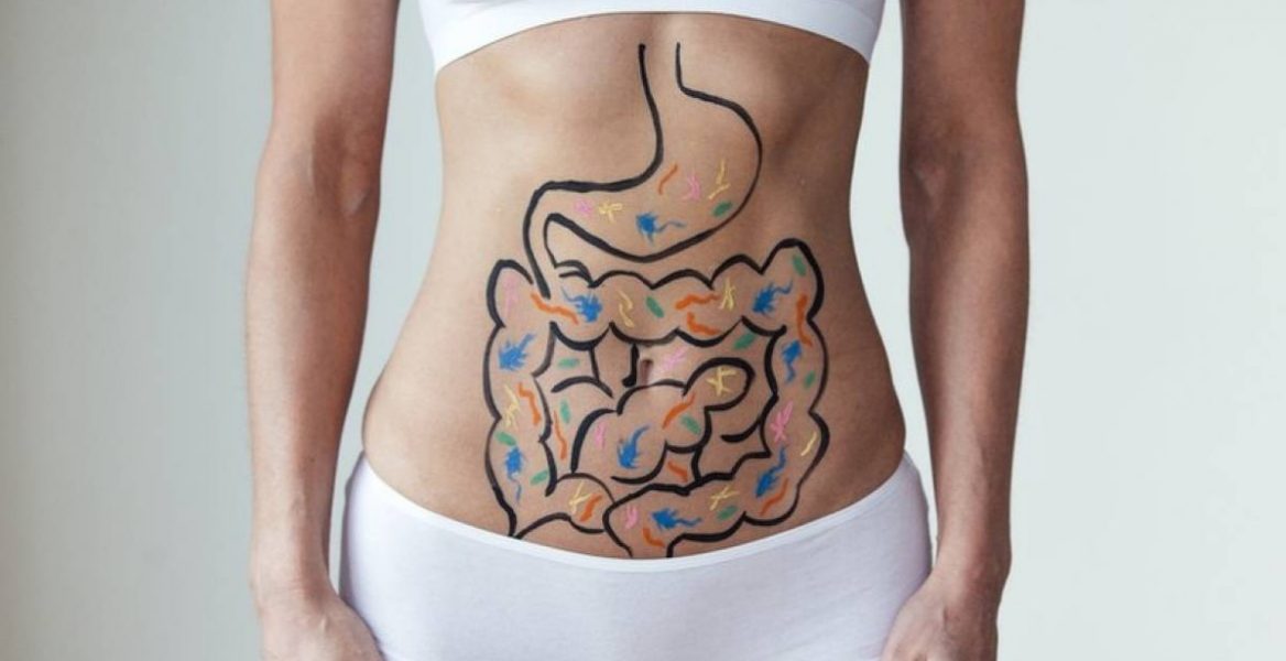 Absorción de Nutrientes
